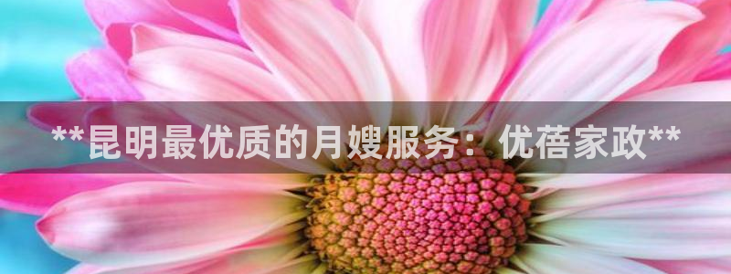 杏悦平台注册流程