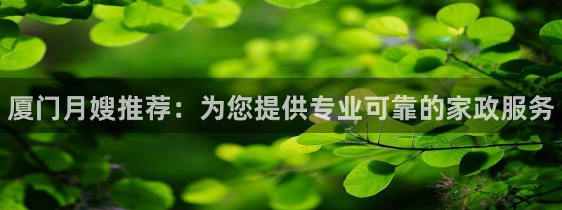 杏悦平台代理怎么做
