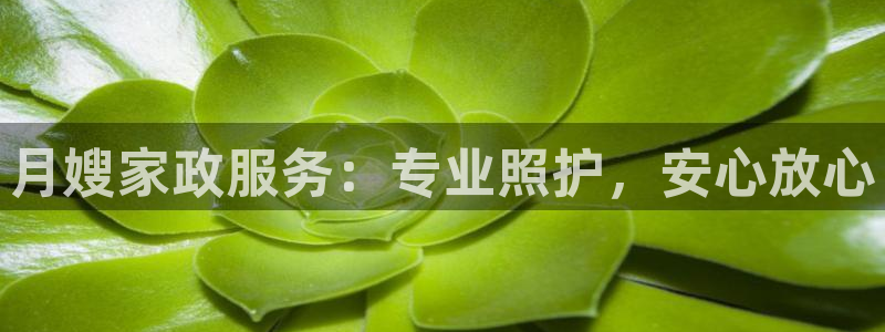 杏悦官网登录入口网址是多少
