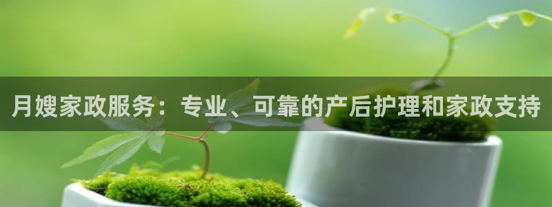 杏悦平台代理注册多少钱