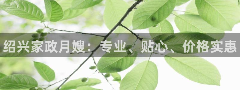 杏悦平台代理注册
