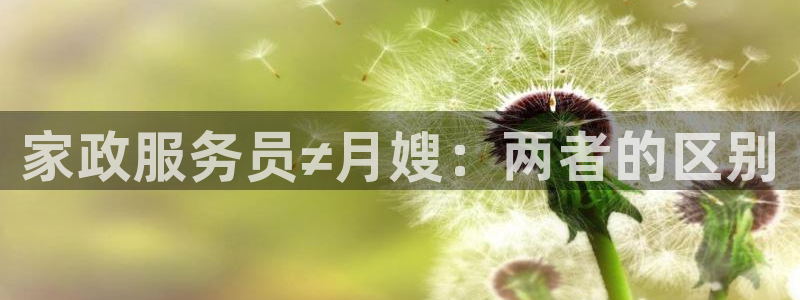 杏悦平台代理多少钱