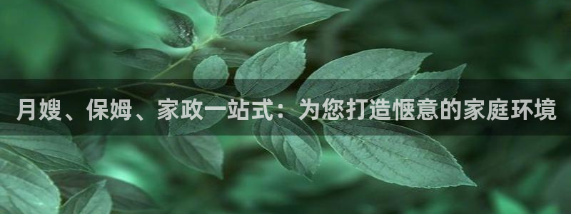 杏悦平台代理怎么做的
