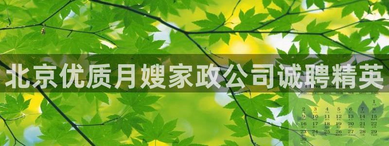 杏悦官网注册信息在哪里查看