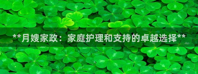 杏悦平台代理注册流程
