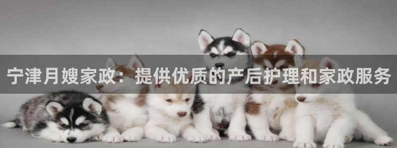 杏悦官方平台官网