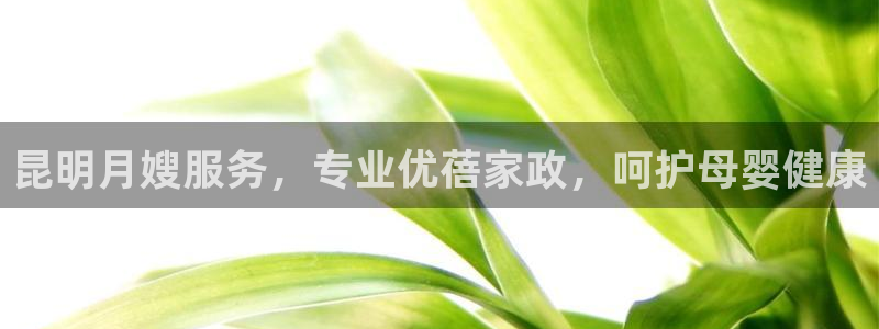 杏悦平台招商电话号码