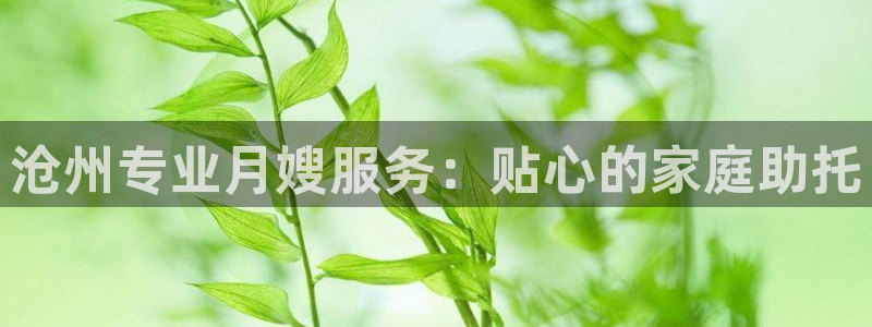 杏悦官网登录入口网址是什么