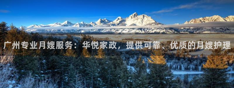 杏悦平台官网注册