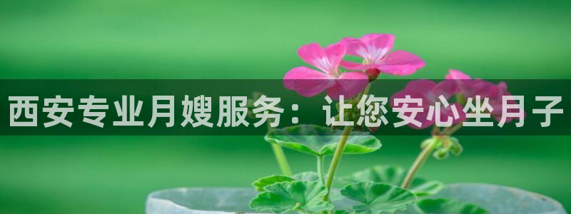 杏悦平台招商怎么样