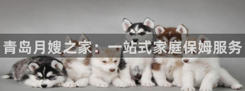 杏悦登陆地址