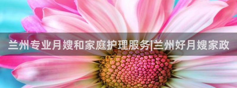 杏悦登陆地址