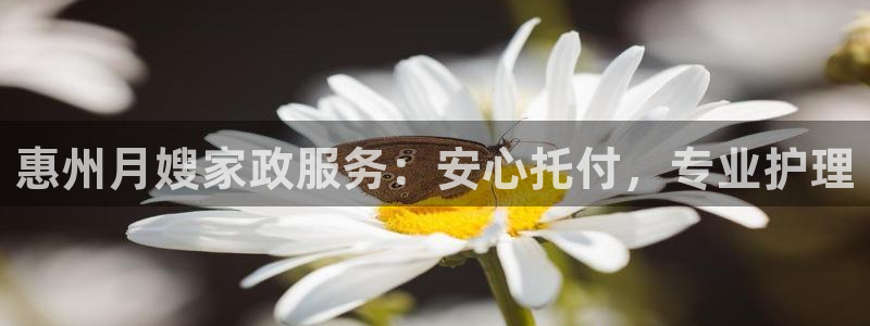 杏悦官方平台