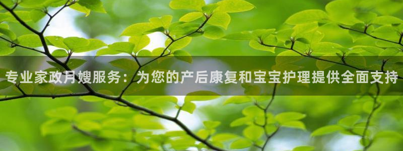 杏悦平台代理注册流程