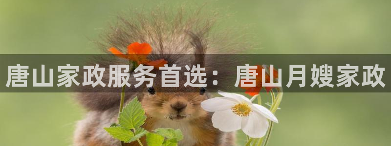 杏悦官方平台是正品吗