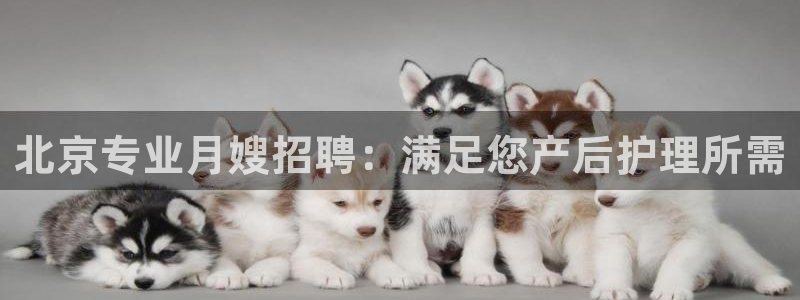 杏悦平台登录地址在哪里