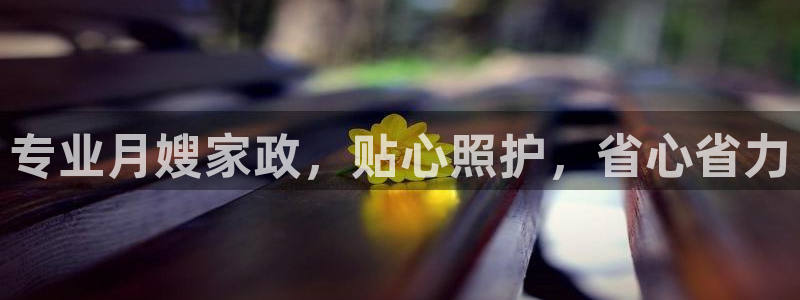 杏悦平台代理怎么赚钱的