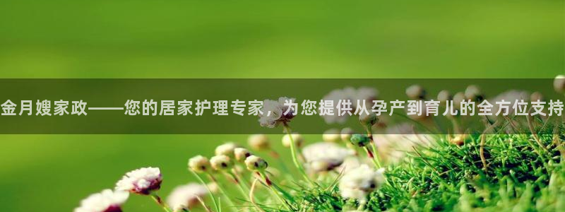 杏悦平台登录入口官网