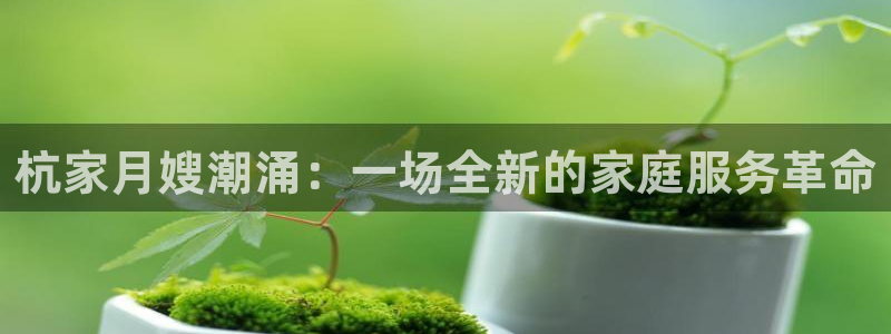 杏悦登录网址是什么