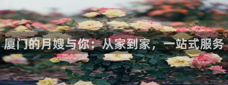 杏悦官方平台官网下载