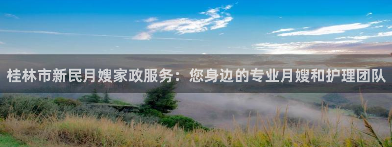 杏悦平台线路测速