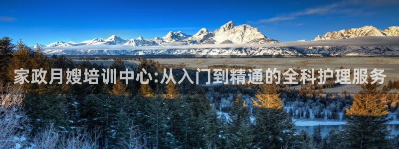 杏悦平台线路测速