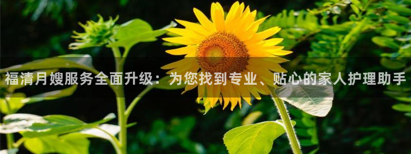 杏悦平台代理怎么赚钱的