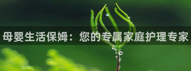 杏悦登录网址是什么