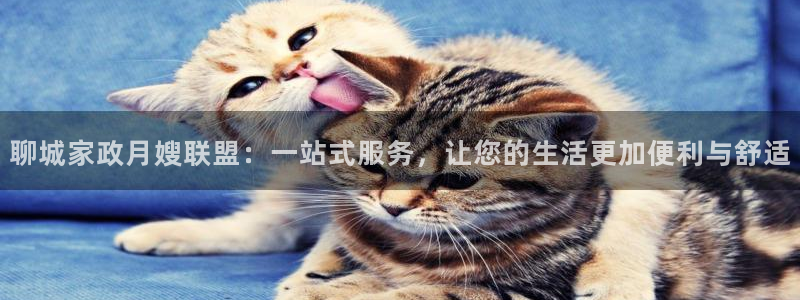 杏悦平台代理多少钱