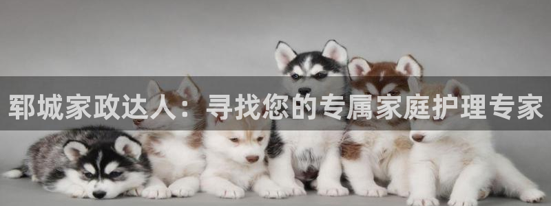 杏悦官方平台官网