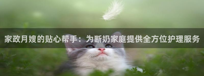 杏悦总代理