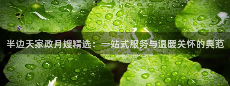 杏悦平台代理怎么样