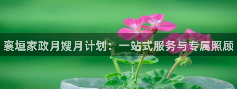 杏悦官方平台是正品吗安全吗