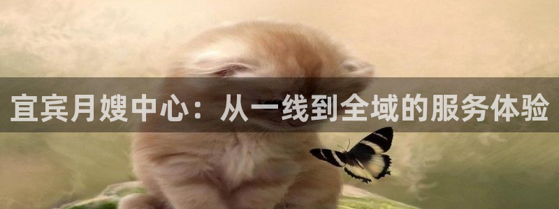 杏悦平台