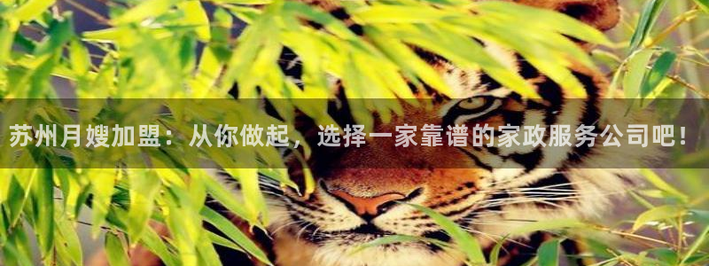 杏悦官方平台是正品吗