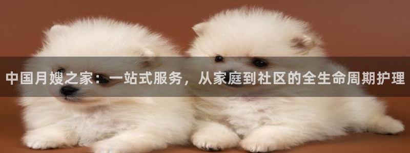 杏悦平台官网注册