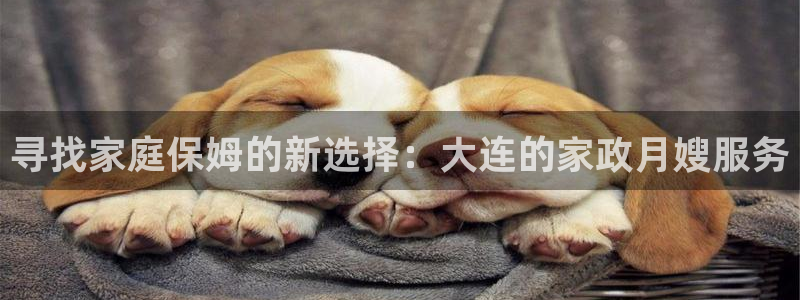 杏悦官网登录入口网址是什么