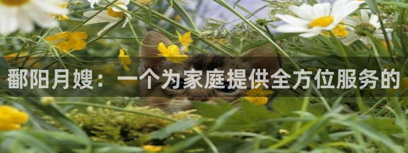 杏悦平台登录网址