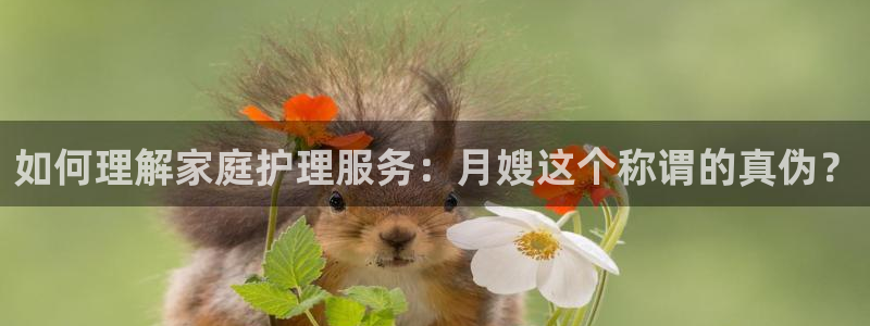 杏悦平台招商怎么样