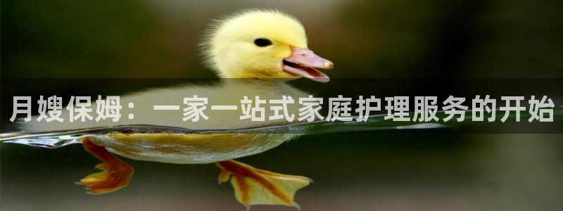 杏悦平台开户地址是什么