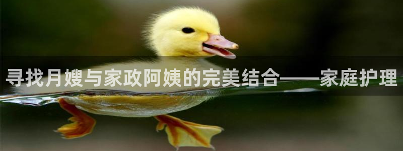 杏悦平台开户地址在哪里