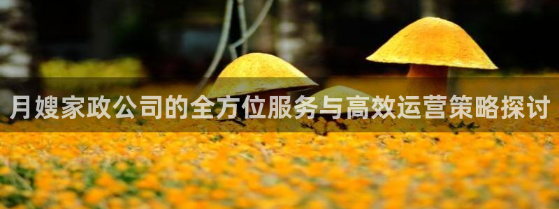 杏悦平台招商电话