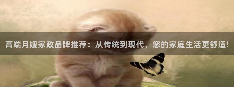 杏悦官网登录入口网址是多少