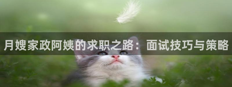 杏悦平台代理注册多少钱