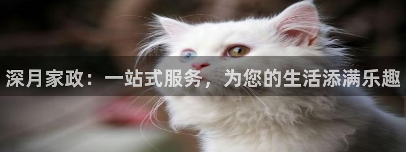 杏悦官网注册信息在哪里