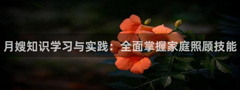 杏悦平台代理怎么样赚钱