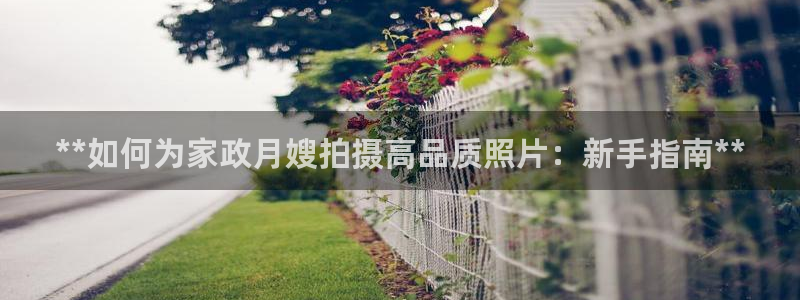 杏悦平台代理注册